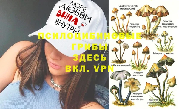 apvp Балабаново
