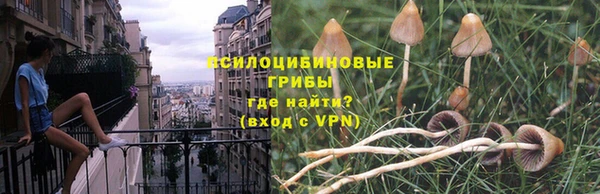 mdpv Баксан