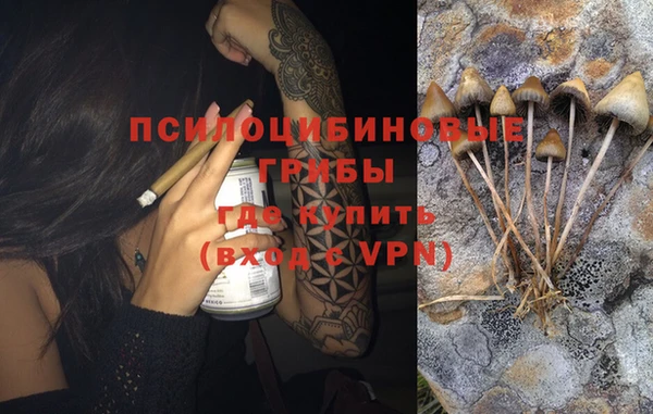 mdpv Балахна